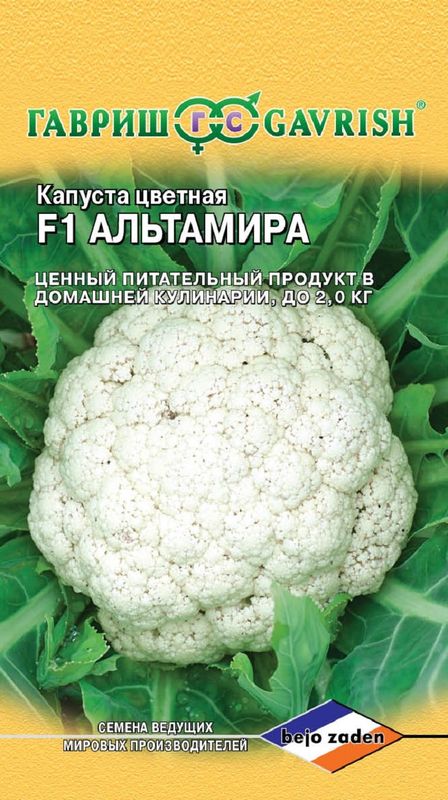 

капуста цветная f1 альтамира семена, капуста цветная f1 альтамира семена купить