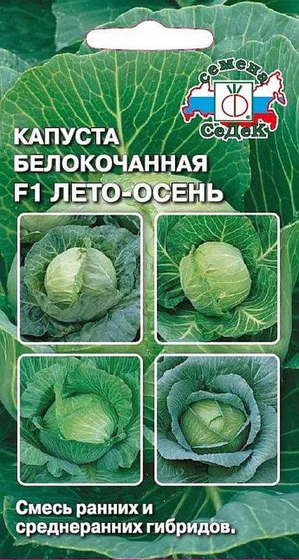 

капуста б/к f1 лето-осень, смесь семена, капуста б/к f1 лето-осень, смесь семена купить