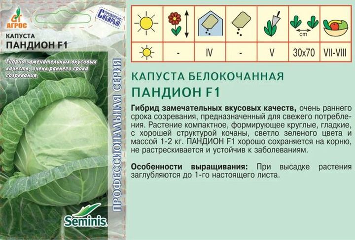 Капуста Доброводская Купить Семена