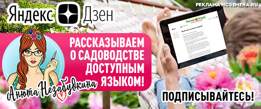 Ncsemena ru интернет каталог оптимальные горшки для конопли