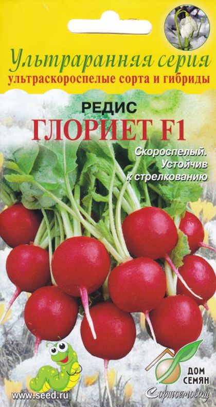 

редис глориет f1 семена, редис глориет f1 семена купить