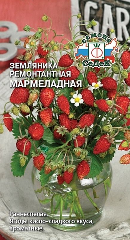 Безусая Земляника Купить Семена