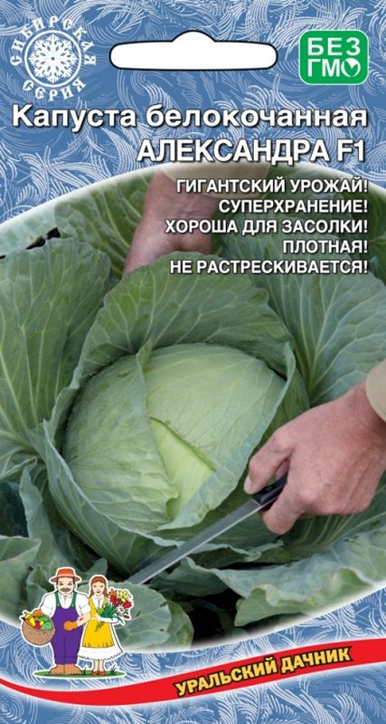 

капуста б/к александра f1 семена, капуста б/к александра f1 семена купить