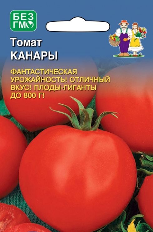 

томат канары семена, томат канары семена купить