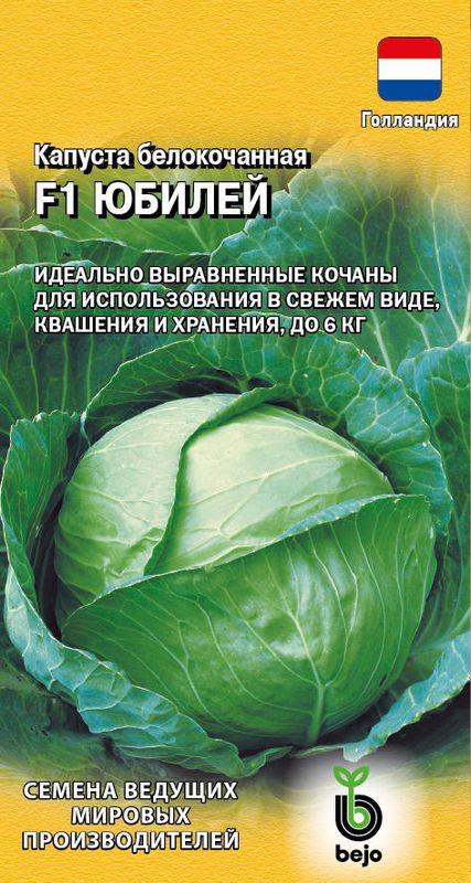 

капуста б/к f1 юбилей семена, капуста б/к f1 юбилей семена купить