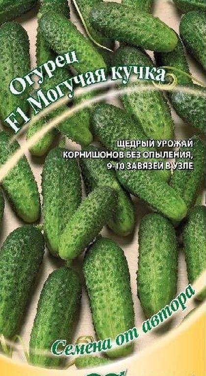 

огурец f1 могучая кучка семена, огурец f1 могучая кучка семена купить