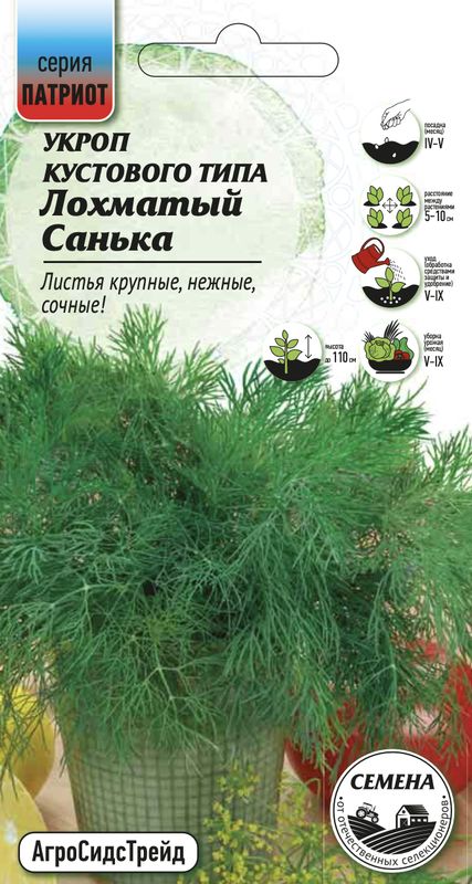 

укроп лохматый санька семена, укроп лохматый санька семена купить