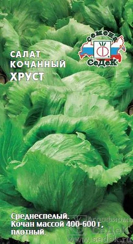 

салат кочанный хруст семена, салат кочанный хруст семена купить