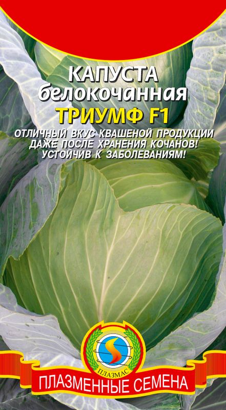 

капуста б/к f1 триумф семена, капуста б/к f1 триумф семена купить