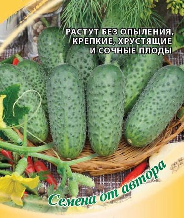 Любимый Внучок Огурец Купить Семена