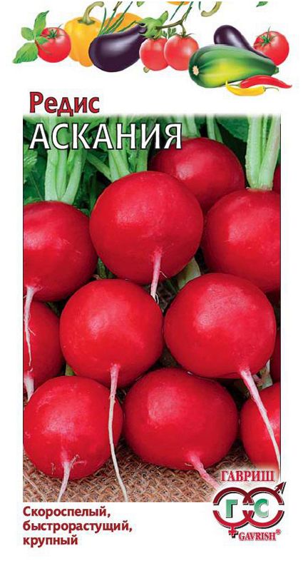 

редис аскания семена, редис аскания семена купить