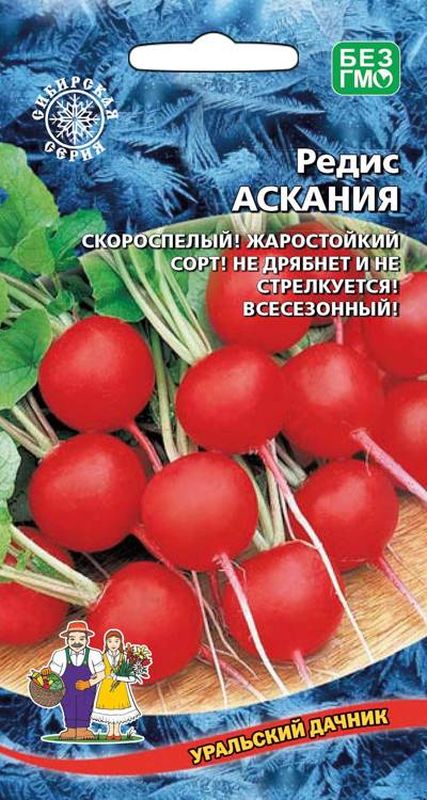 Посадка редиса весной: особенности посева: новости, овощи, советы, огород, сад и огород