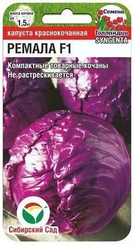 gkhyarovoe.ru • Просмотр темы - Готовим: зимние салаты