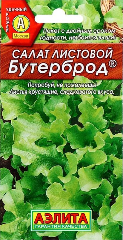 Салат Экзакт Купить Семена