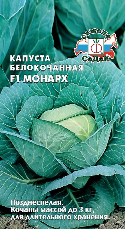 

капуста б/к f1 монарх семена, капуста б/к f1 монарх семена купить