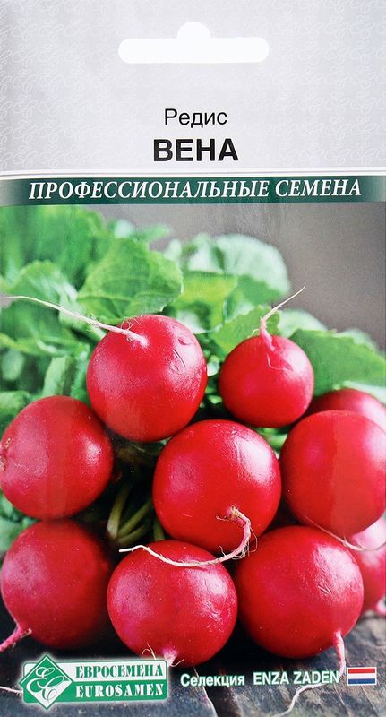 

редис вена семена, редис вена семена купить