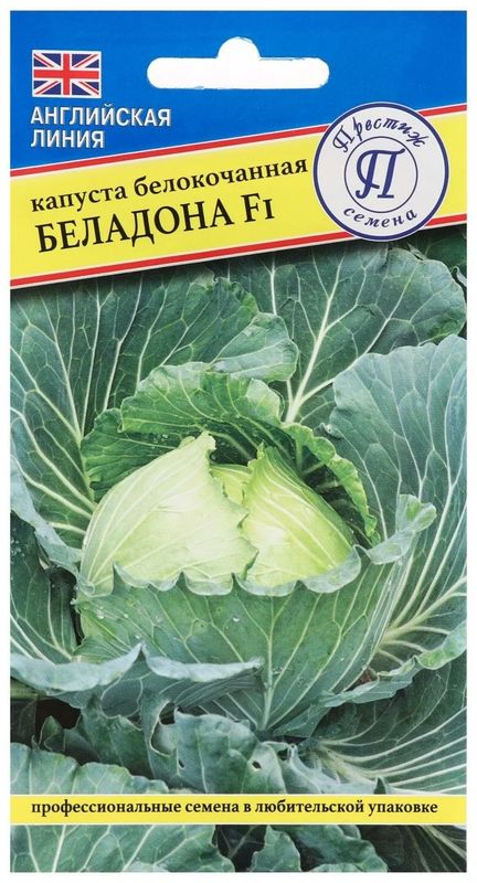 

капуста б/к беладона f1 семена, капуста б/к беладона f1 семена купить