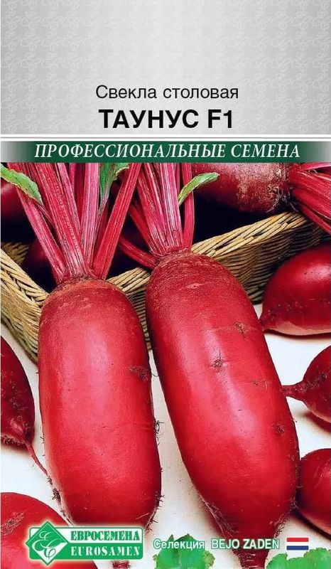 

свекла столовая таунус f1 семена, свекла столовая таунус f1 семена купить
