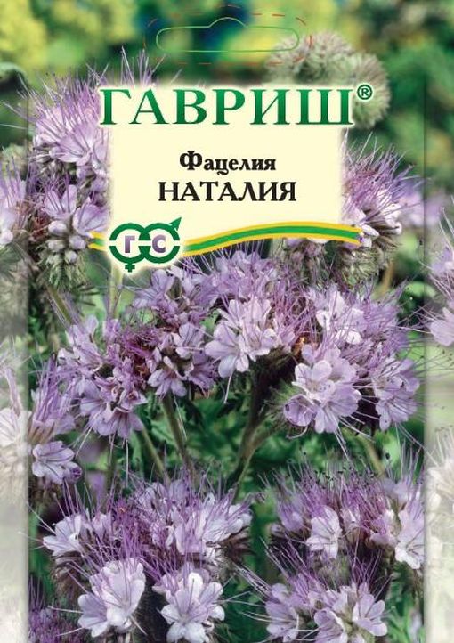 

Фацелия Наталия (сидерат)