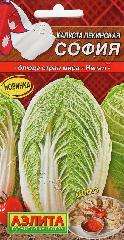 

капуста пекинская софия семена, капуста пекинская софия семена купить