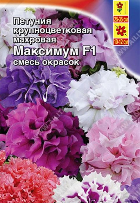 

петуния максимум f1 крупноцветковая махровая, смесь окрасок семена, петуния максимум f1 крупноцветковая махровая, смесь окрасок семена купить