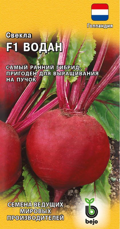 

свекла водан f1 семена, свекла водан f1 семена купить
