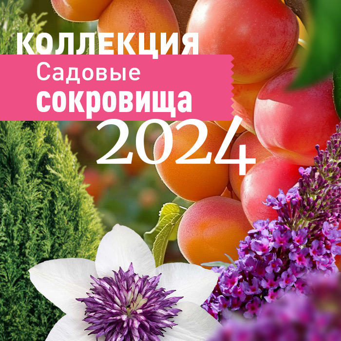 Белгородская сокровищница 2024