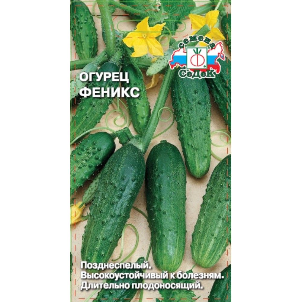 

огурец феникс семена, огурец феникс семена купить