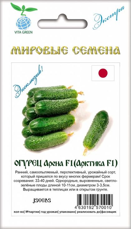 

огурец арена (арктика) f1 семена, огурец арена (арктика) f1 семена купить