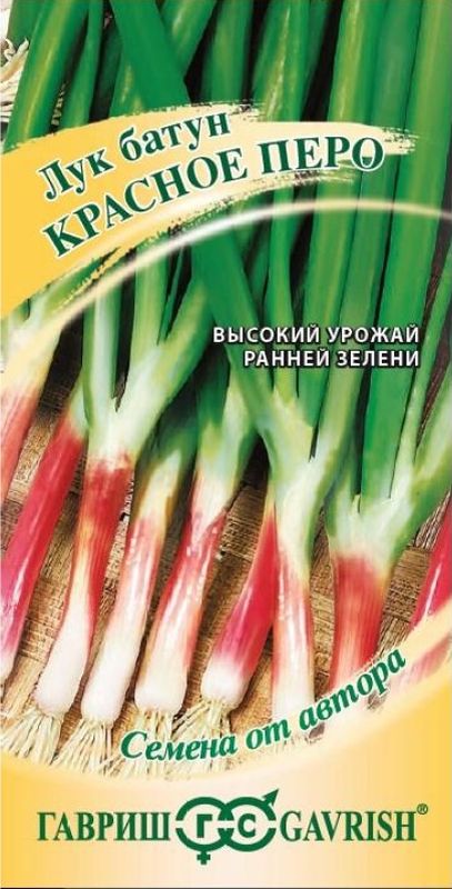 

лук на зелень красное перо семена, лук на зелень красное перо семена купить