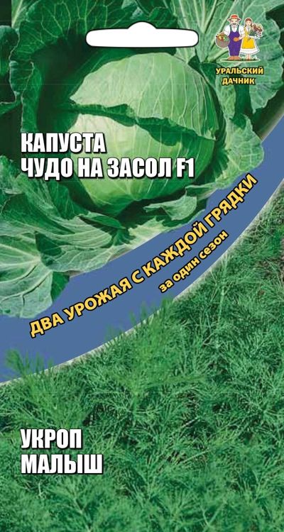 

капуста б/к чудо на засол f1 + укроп малыш семена, капуста б/к чудо на засол f1 + укроп малыш семена купить