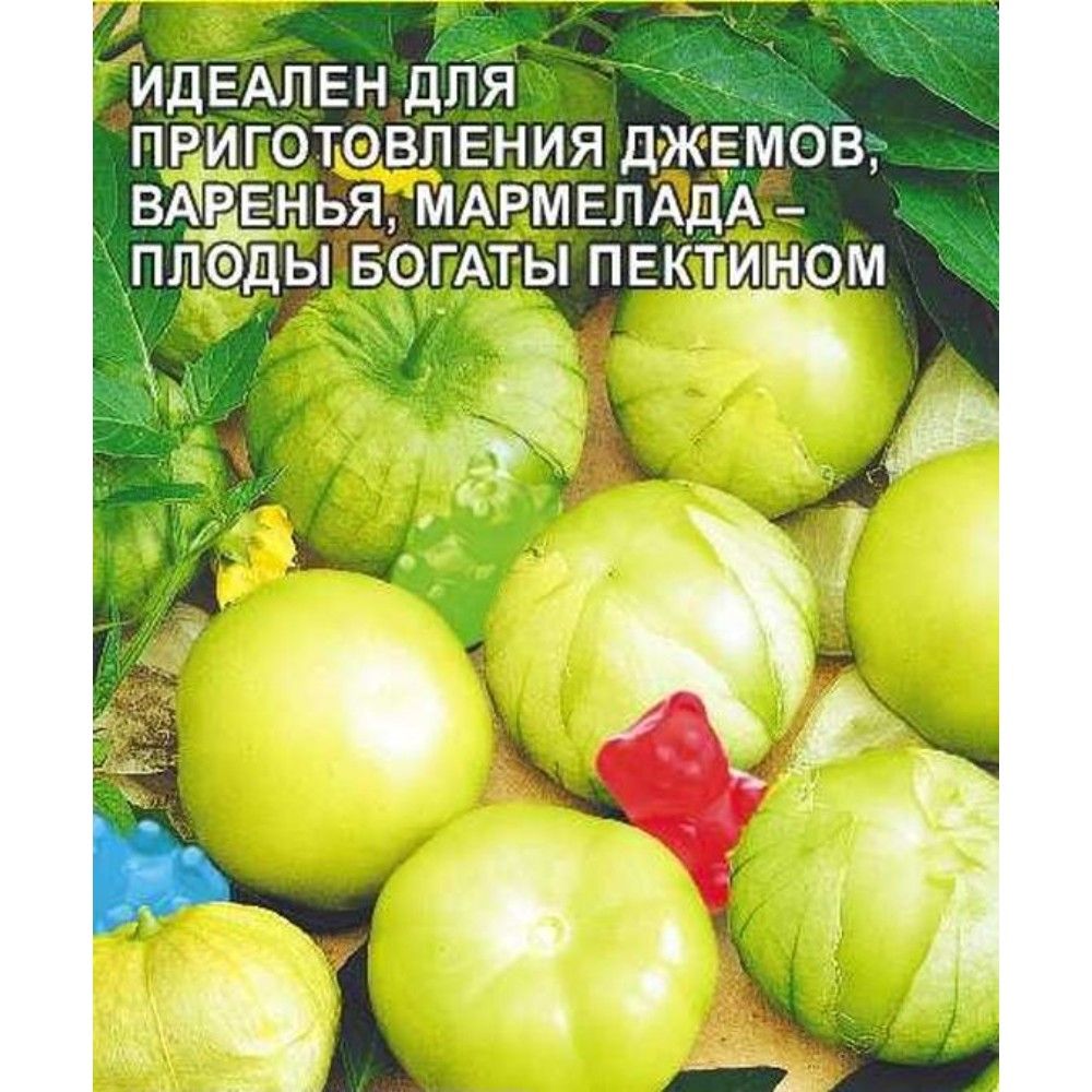 Семена Физалис Мармелад: описание сорта, фото - купить с доставкой или  почтой России