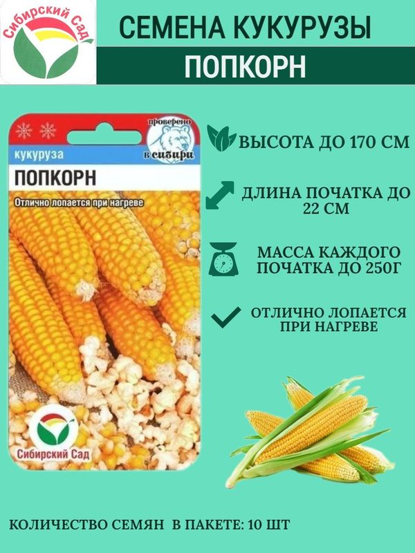 

кукуруза попкорн семена, кукуруза попкорн семена купить