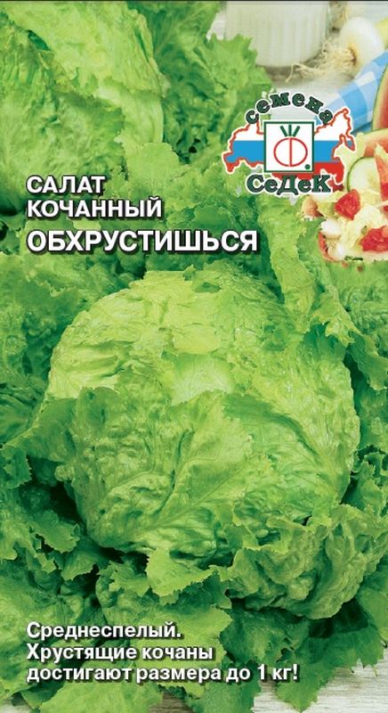 Рецепты вкусных салатов с индейкой