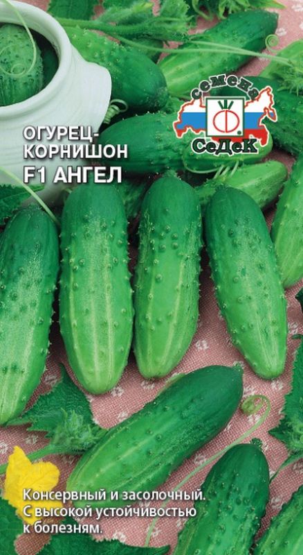 ОгурецF1Ангел