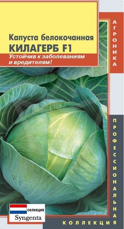 

капуста б/к f1 килагерб семена, капуста б/к f1 килагерб семена купить