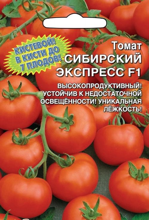 Томаты уральский. Томат экспресс Сибири f1. Томат Уральский экспресс f1. Томат Сибирский экспресс f1. Томат финик Cибирский f1.