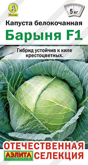 Капуста барыня описание сорта фото отзывы Семена Капуста б/к Барыня F1: описание сорта, фото - купить с доставкой или почт