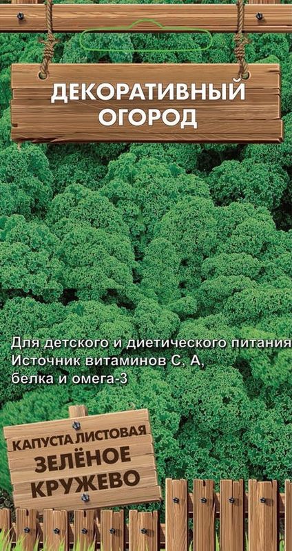 

капуста листовая зеленое кружево семена, капуста листовая зеленое кружево семена купить