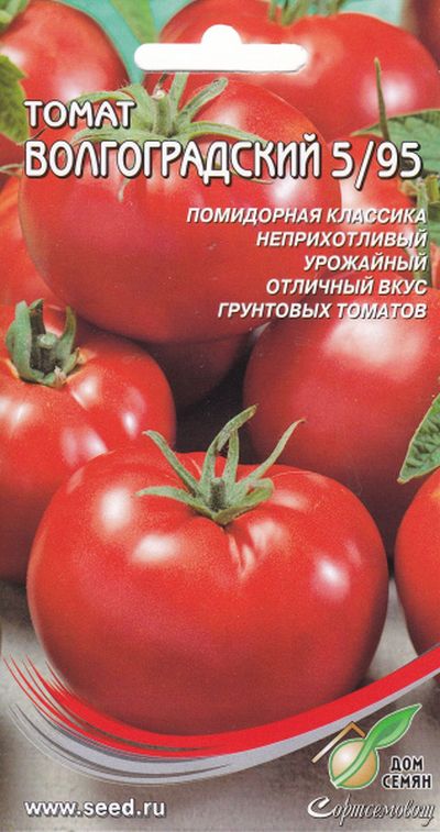 

томат волгоградский 5/95 семена, томат волгоградский 5/95 семена купить