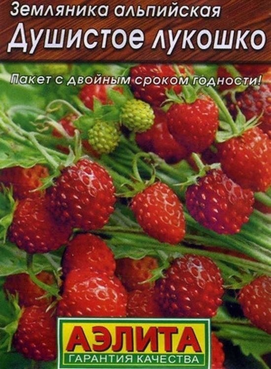 Земляника душистое лукошко. Земляника душистое лукошко 0,04г Аэлита. Земляника " Земляничное лукошко семена. Земляника ароматная ремонтантная семена. Семена земляники Аэлита.