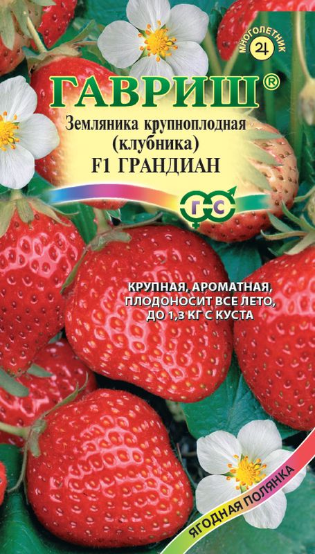 

земляника (клубника) грандиан f1 пробирка семена, земляника (клубника) грандиан f1 пробирка семена купить