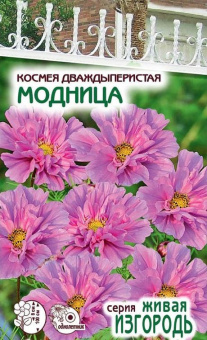 Космея дваждыперистая Модница