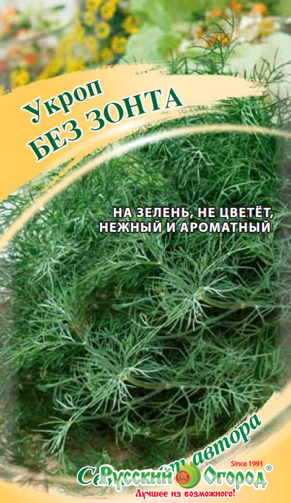 Укроп без зонтиков название сорта с фото и описанием