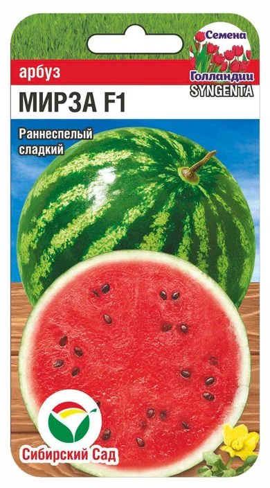 ВИТЭКС Super FRUIT