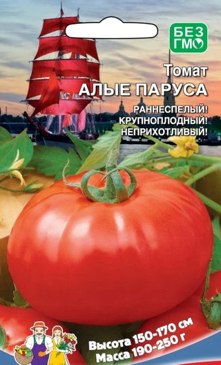 Томат алые паруса