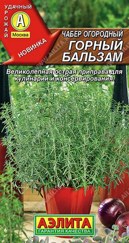 Купить корневища и саженцы чабера в Украине недорого почтой | shkol26.ru