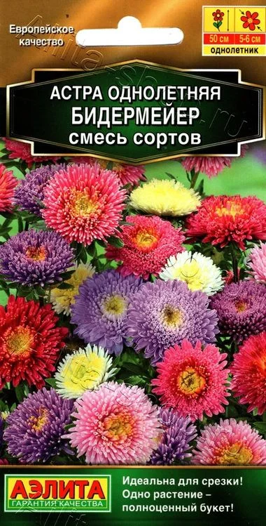 Астра смесь срезочных сортов