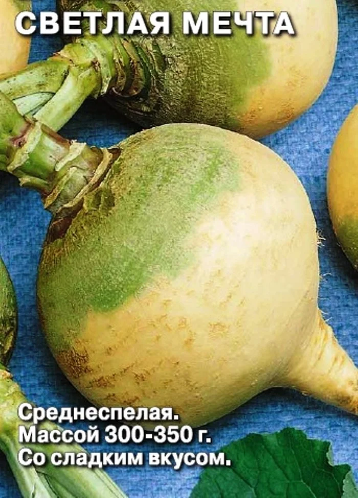 Брюква семена фото