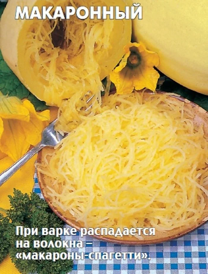 Кабачок спагетти фото и описание